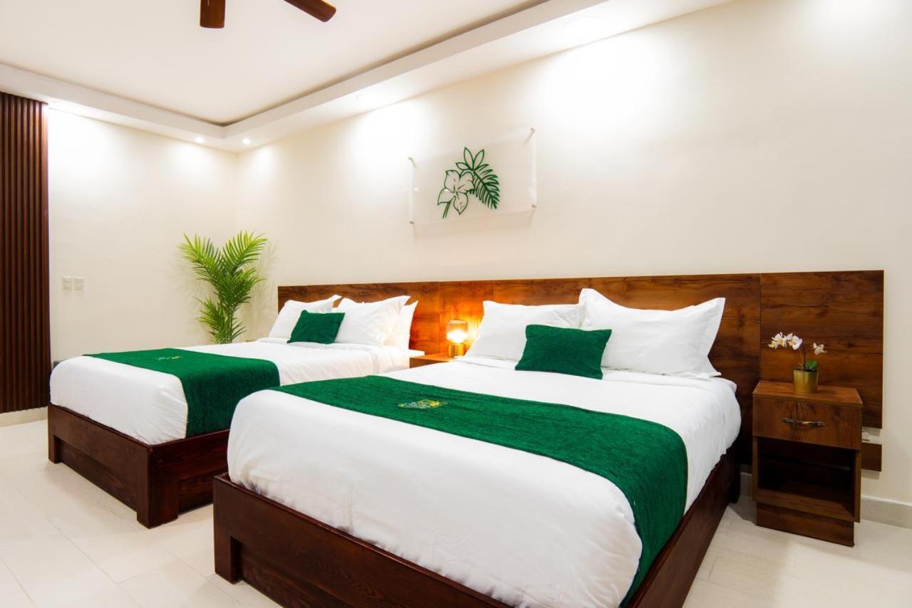 Jardin Colonial Boutique Hotel 산토도밍고 외부 사진